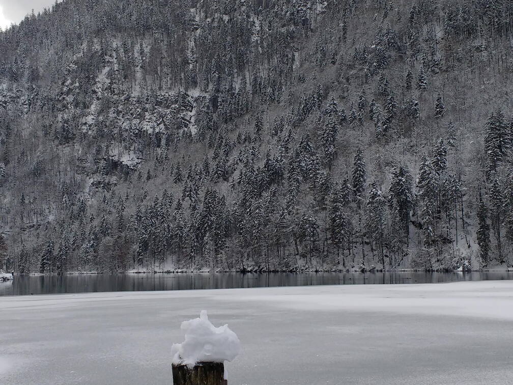 IMG 20170115 133548901